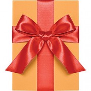 Double Face Satin Ribbon, Persimmon, Waste Not Paper